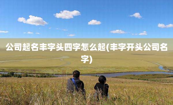 公司起名丰字头四字怎么起(丰字开头公司名字)