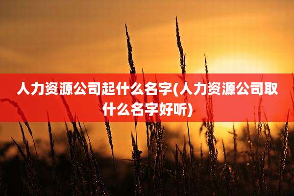 人力资源公司起什么名字(人力资源公司取什么名字好听)