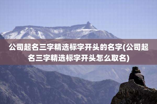 公司起名三字精选标字开头的名字(公司起名三字精选标字开头怎么取名)