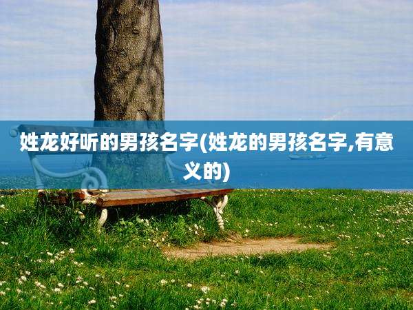 姓龙好听的男孩名字(姓龙的男孩名字,有意义的)