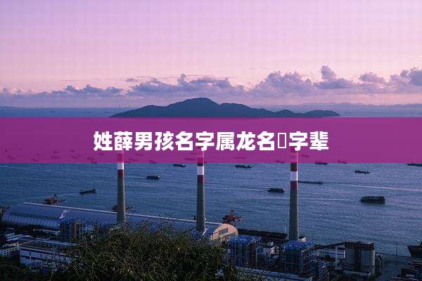 姓薛男孩名字属龙名昇字辈