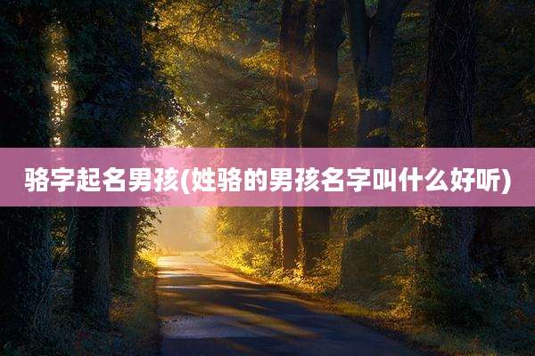 骆字起名男孩(姓骆的男孩名字叫什么好听)