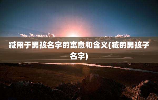 臧用于男孩名字的寓意和含义(臧的男孩子名字)