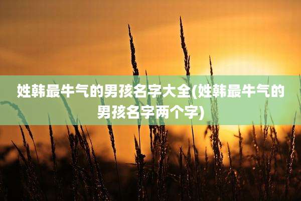姓韩最牛气的男孩名字大全(姓韩最牛气的男孩名字两个字)