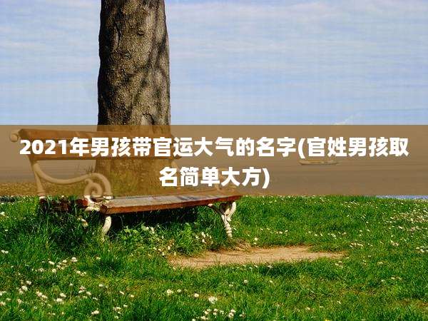 2021年男孩带官运大气的名字(官姓男孩取名简单大方)
