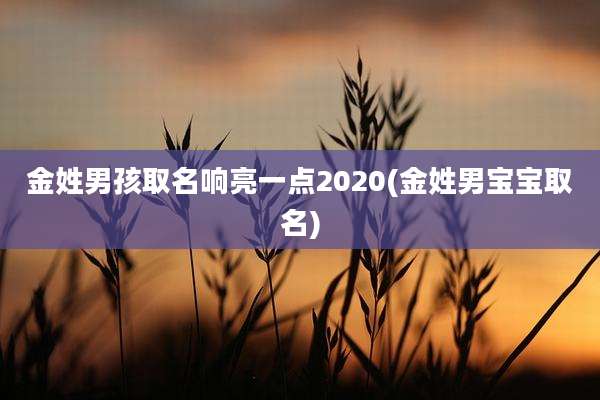 金姓男孩取名响亮一点2020(金姓男宝宝取名)