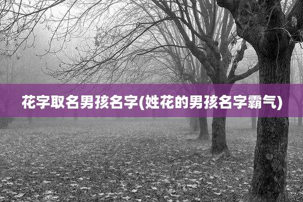 花字取名男孩名字(姓花的男孩名字霸气)