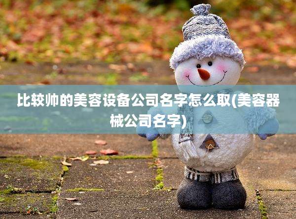 比较帅的美容设备公司名字怎么取(美容器械公司名字)
