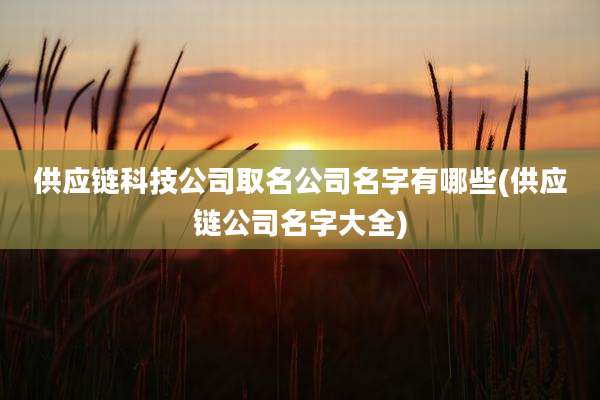 供应链科技公司取名公司名字有哪些(供应链公司名字大全)
