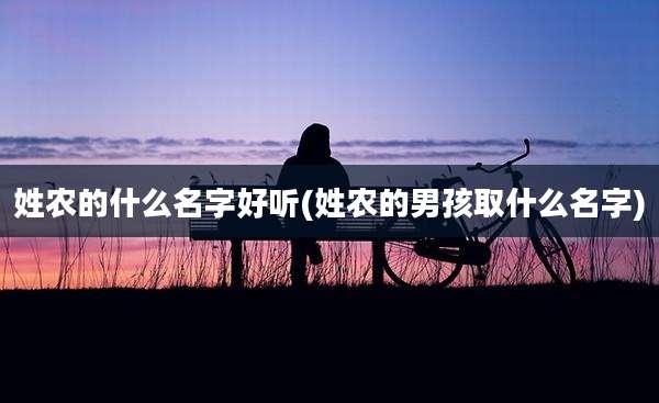 姓农的什么名字好听(姓农的男孩取什么名字)