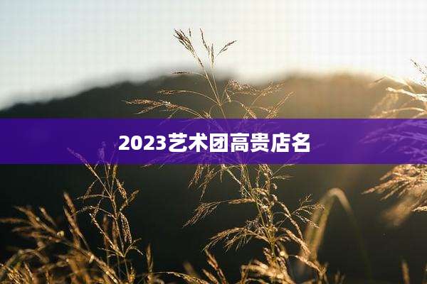 2023艺术团高贵店名