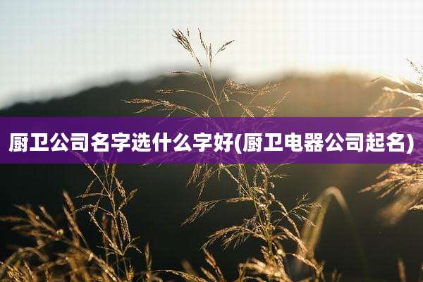 厨卫公司名字选什么字好(厨卫电器公司起名)