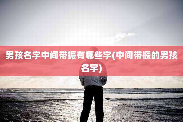 男孩名字中间带振有哪些字(中间带振的男孩名字)
