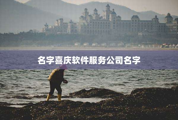 名字喜庆软件服务公司名字