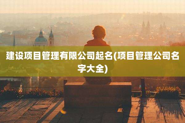 建设项目管理有限公司起名(项目管理公司名字大全)