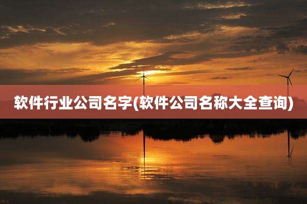 软件行业公司名字(软件公司名称大全查询)