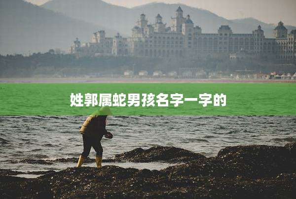 姓郭属蛇男孩名字一字的