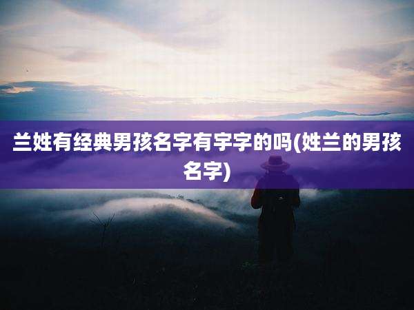 兰姓有经典男孩名字有宇字的吗(姓兰的男孩名字)