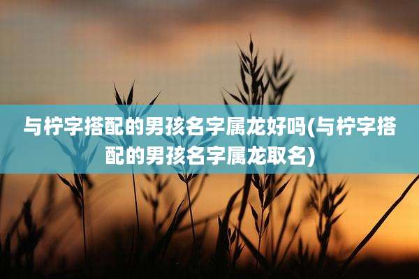 与柠字搭配的男孩名字属龙好吗(与柠字搭配的男孩名字属龙取名)