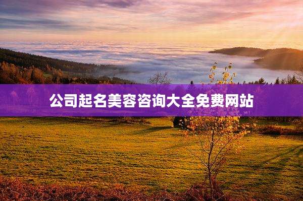公司起名美容咨询大全免费网站