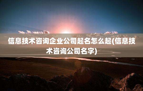 信息技术咨询企业公司起名怎么起(信息技术咨询公司名字)