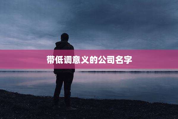 带低调意义的公司名字