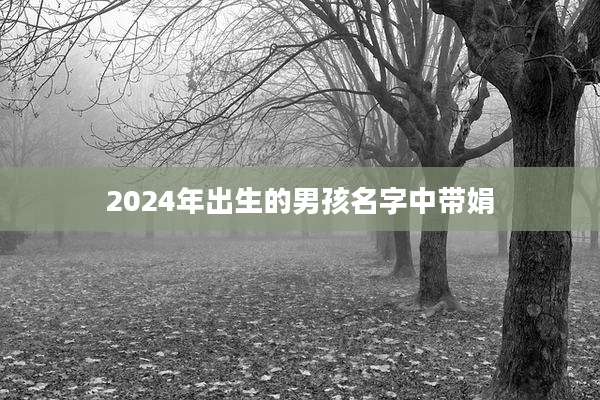 2024年出生的男孩名字中带娟
