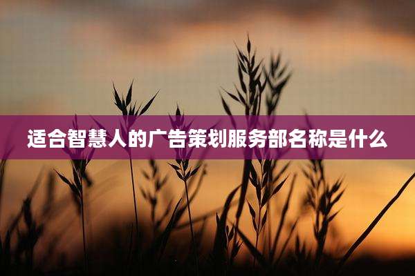 适合智慧人的广告策划服务部名称是什么