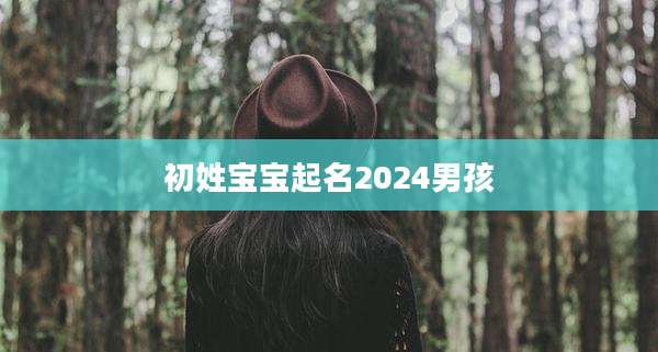 初姓宝宝起名2024男孩