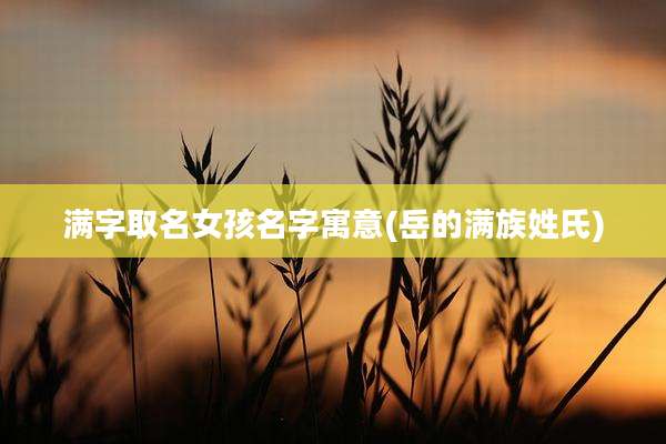 满字取名女孩名字寓意(岳的满族姓氏)