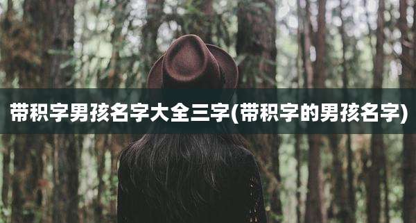 带积字男孩名字大全三字(带积字的男孩名字)