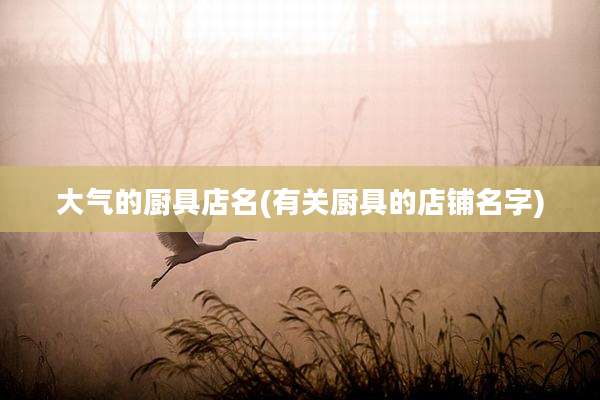 大气的厨具店名(有关厨具的店铺名字)