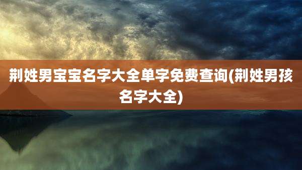 荆姓男宝宝名字大全单字免费查询(荆姓男孩名字大全)