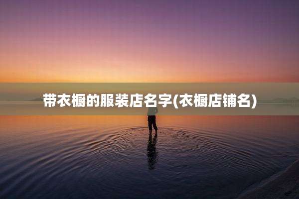 带衣橱的服装店名字(衣橱店铺名)
