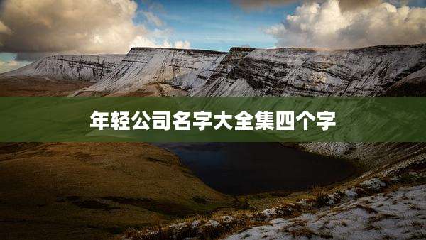 年轻公司名字大全集四个字