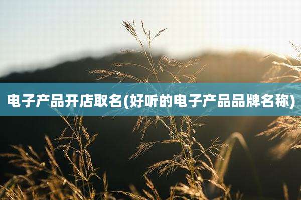 电子产品开店取名(好听的电子产品品牌名称)
