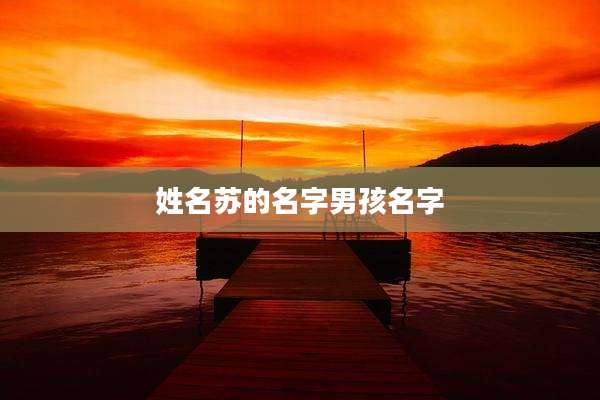 姓名苏的名字男孩名字