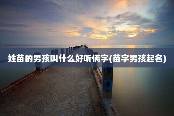 姓苗的男孩叫什么好听俩字(苗字男孩起名)