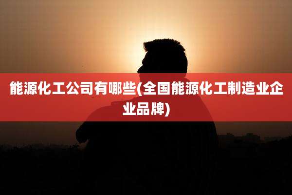 能源化工公司有哪些(全国能源化工制造业企业品牌)