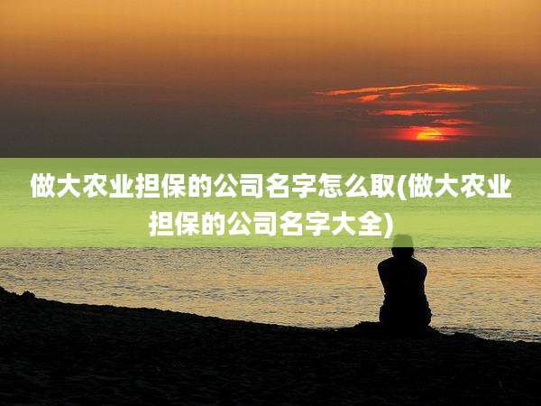 做大农业担保的公司名字怎么取(做大农业担保的公司名字大全)