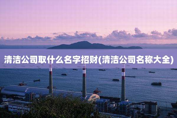 清洁公司取什么名字招财(清洁公司名称大全)