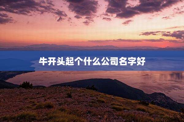 牛开头起个什么公司名字好