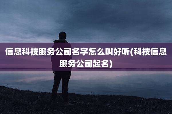 信息科技服务公司名字怎么叫好听(科技信息服务公司起名)