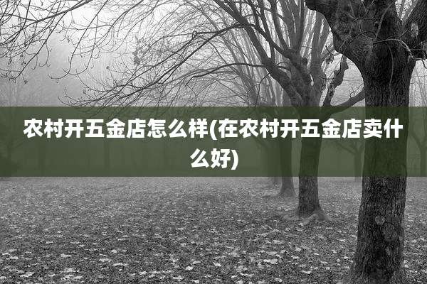 农村开五金店怎么样(在农村开五金店卖什么好)
