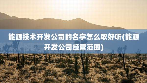 能源技术开发公司的名字怎么取好听(能源开发公司经营范围)