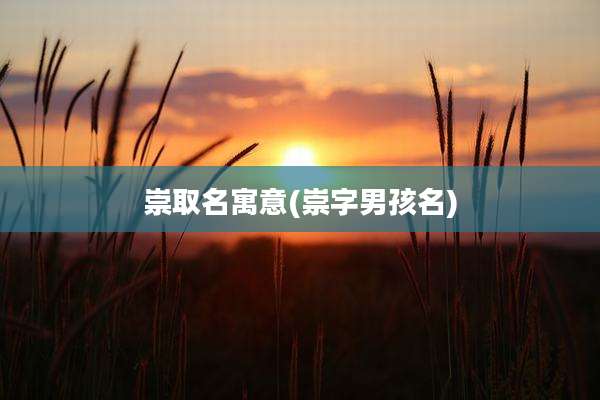 崇取名寓意(崇字男孩名)
