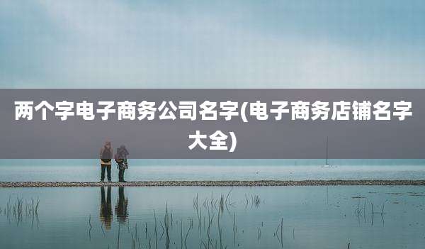 两个字电子商务公司名字(电子商务店铺名字大全)