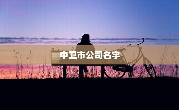 中卫市公司名字