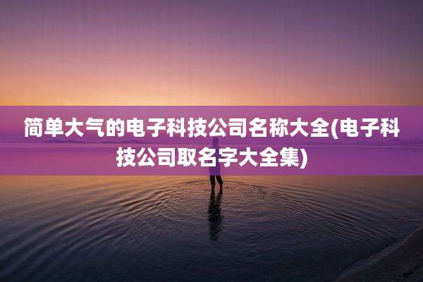 简单大气的电子科技公司名称大全(电子科技公司取名字大全集)