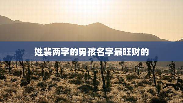 姓裴两字的男孩名字最旺财的